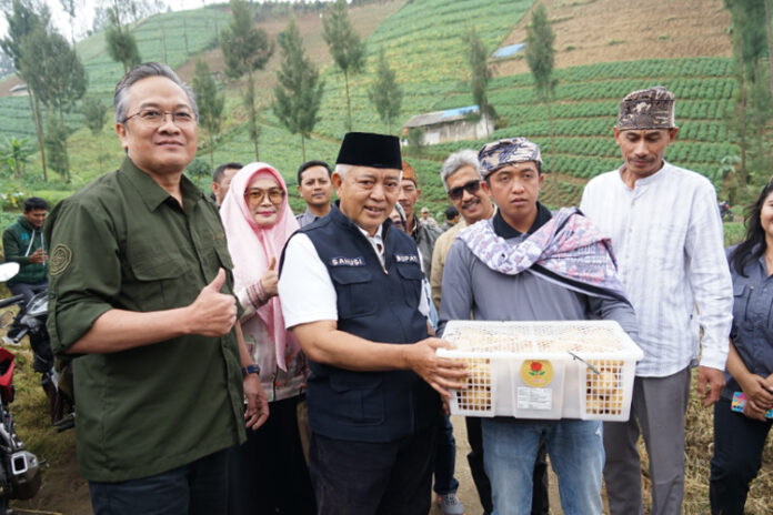 Bupati-Malang-panen-kentang