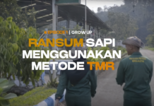 GROW UP Eps. I Ransum Sapi Menggunakan Metode TMR (Total Mixed Ration)