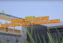 GROW UP Eps. II: Kandang Ayam Close House – Solusi Ternak Modern yang ‘Super Canggih’