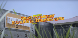 GROW UP Eps. II: Kandang Ayam Close House – Solusi Ternak Modern yang ‘Super Canggih’