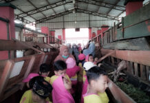 Pupuk Cinta Alam, Polbangtan Malang Selenggarakan Agroeduwisata untuk Anak-Anak